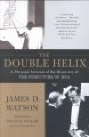 Double Helix - Product Image