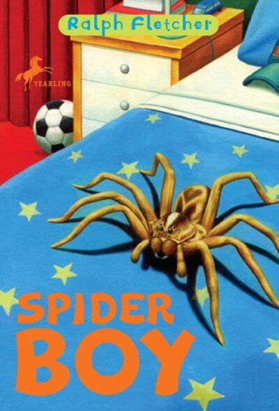 Spider Boy - Product Image